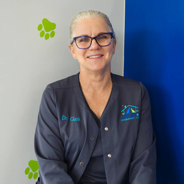 Dr. Sherry D. (Dodson) Clark