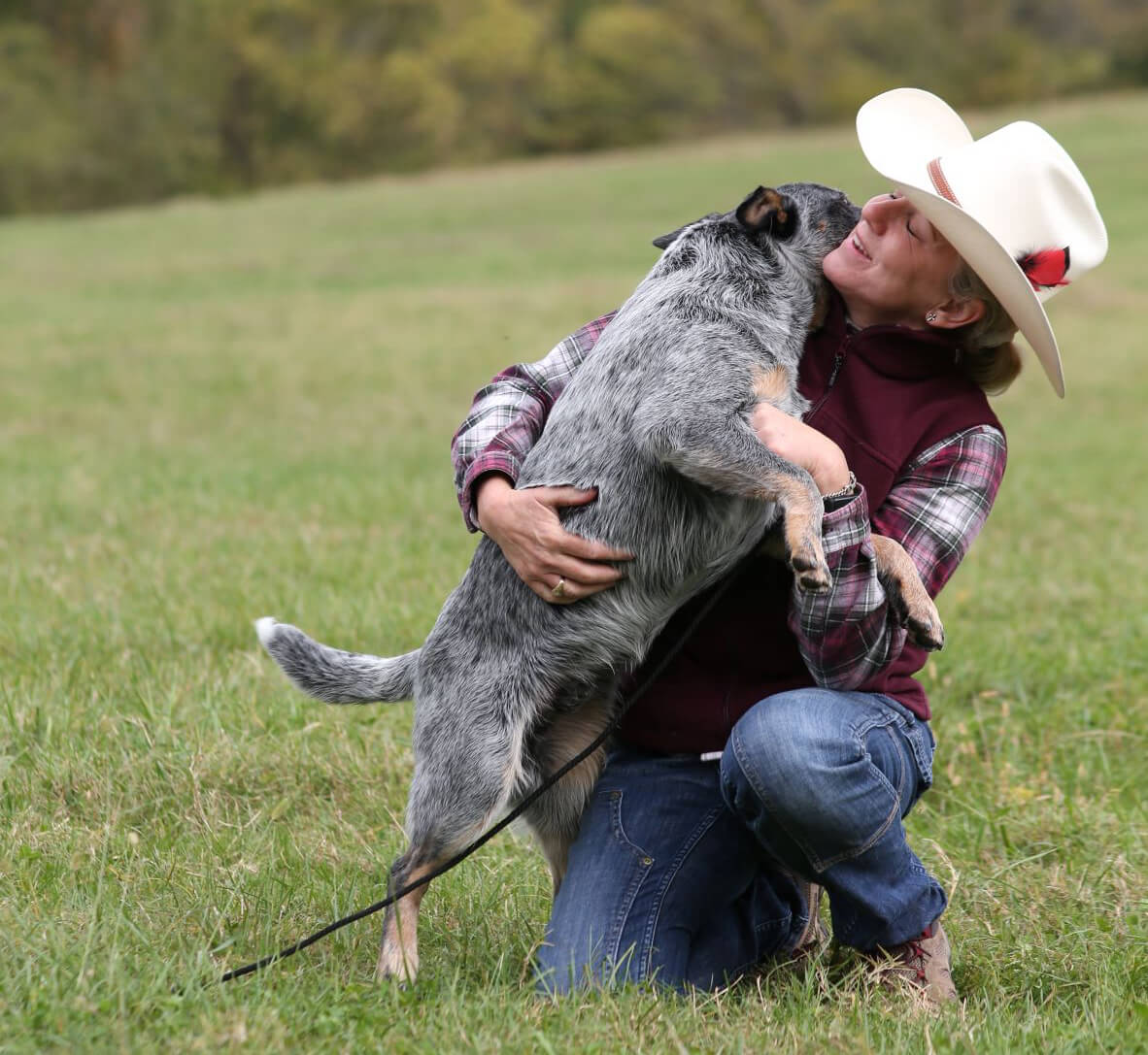 Happy dog embraced by its owner in a field, dog services at Angleton Veterinary Clinic in Angleton, Texas