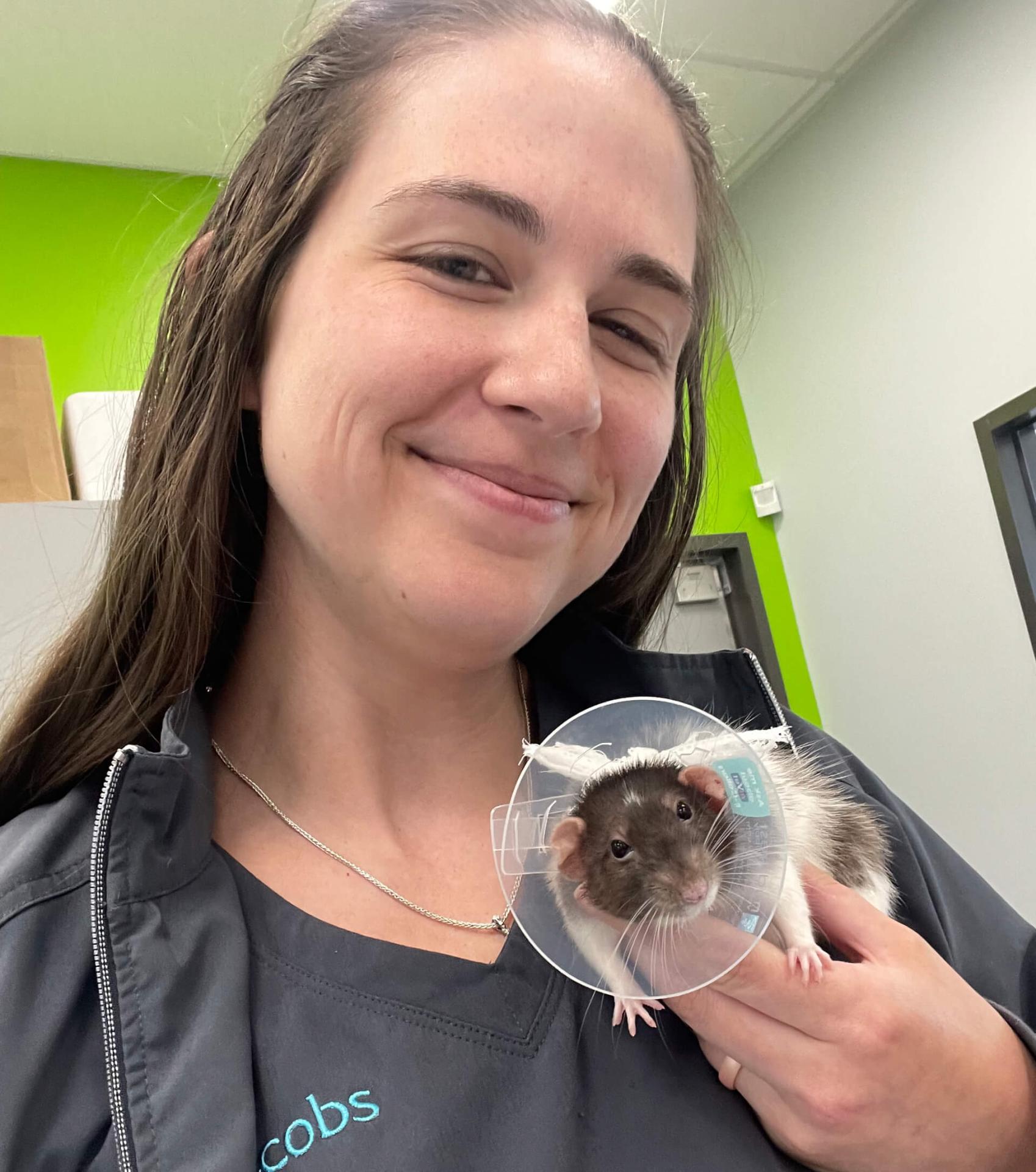 Veterinarian holding a pet rat in a recovery cone after surgery, representing surgery and diagnostics in Angleton