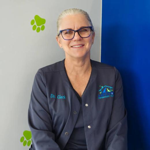 Dr. Sherry D. (Dodson) Clark